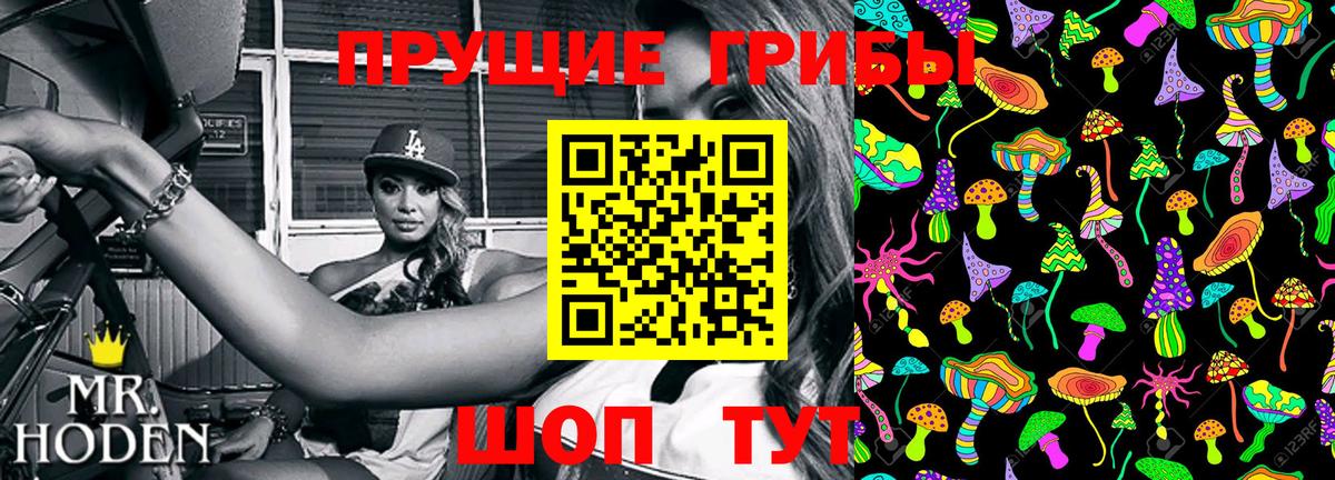 Белорецк  Псилоцибиновые грибы Psilocybine cubensis  Вход с VPN 