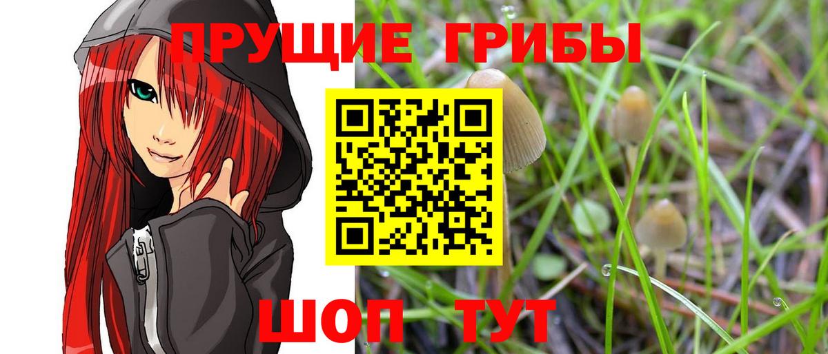 Галлюциногенные грибы мицелий Белорецк